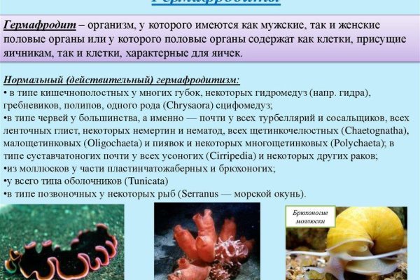 Кракен сайт регистрация