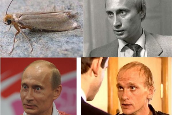 Kraken вход kraken torion