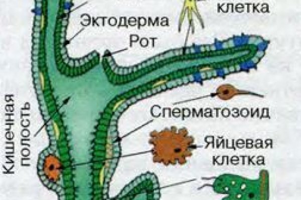 Ссылки на даркнет