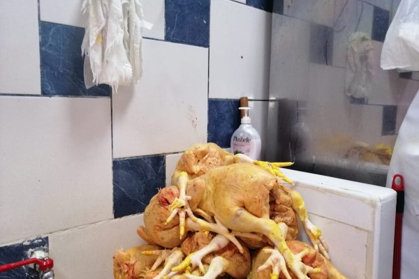 Ссылка на сайт кракен в тор браузере